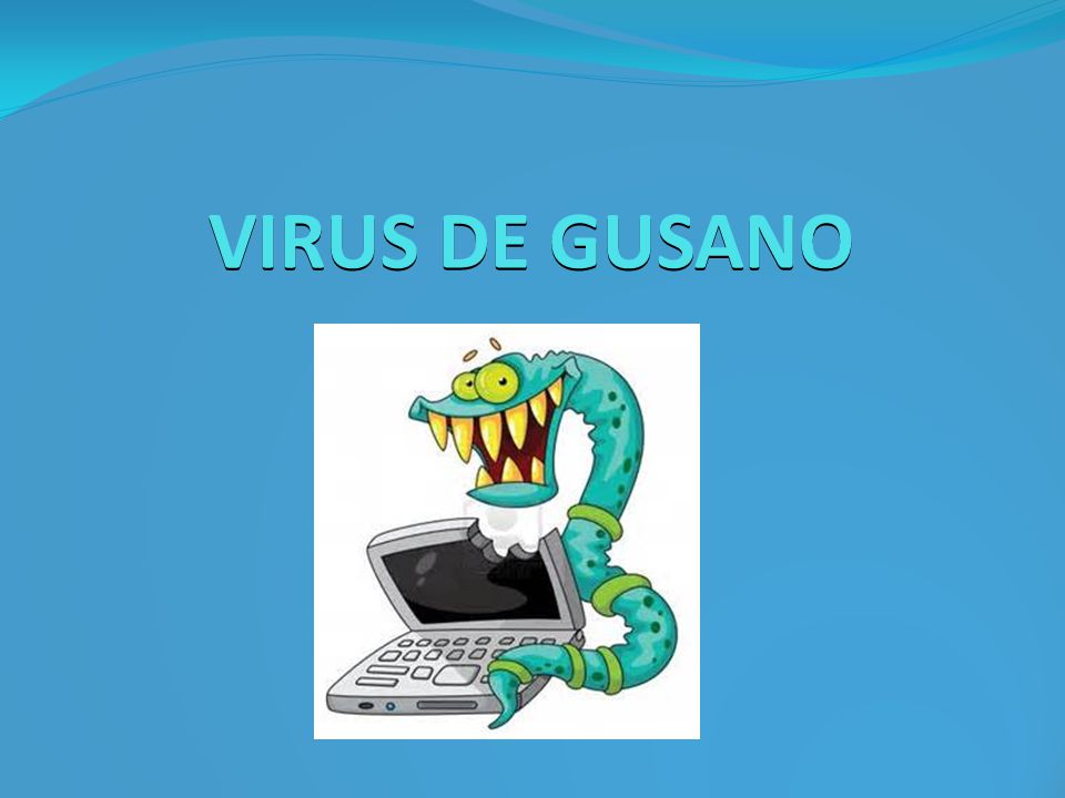 los tipos de gusanos virus que existen los tipos de gusanos virus que existen
